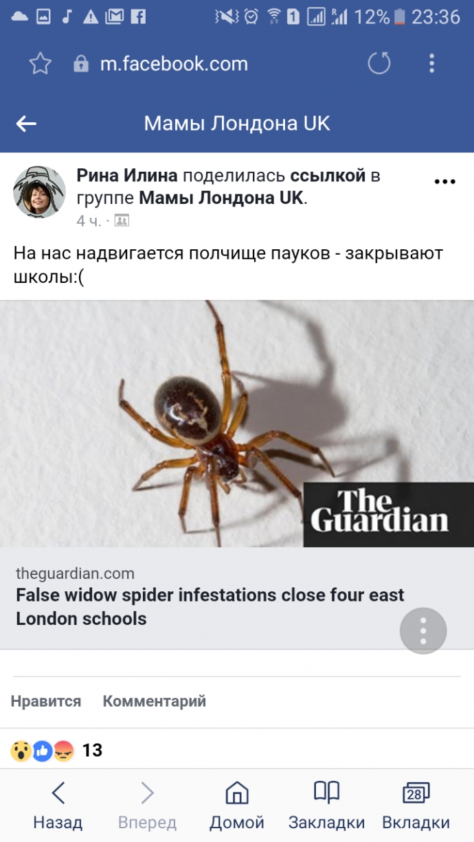 Смотреть Женщина нашла в обуви смертельно опасную змею видео Смотреть Женщина нашла в обуви смертельно опасную змею видео