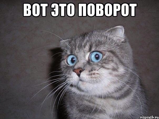 1d33381cd6dd29d11748dc6c37bc2dc9.jpg