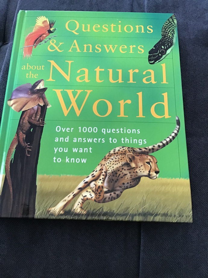 Книга на английском