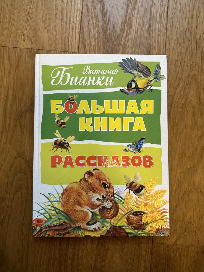 e2b5ca29ed9a5191371950004a4e241e.jpg